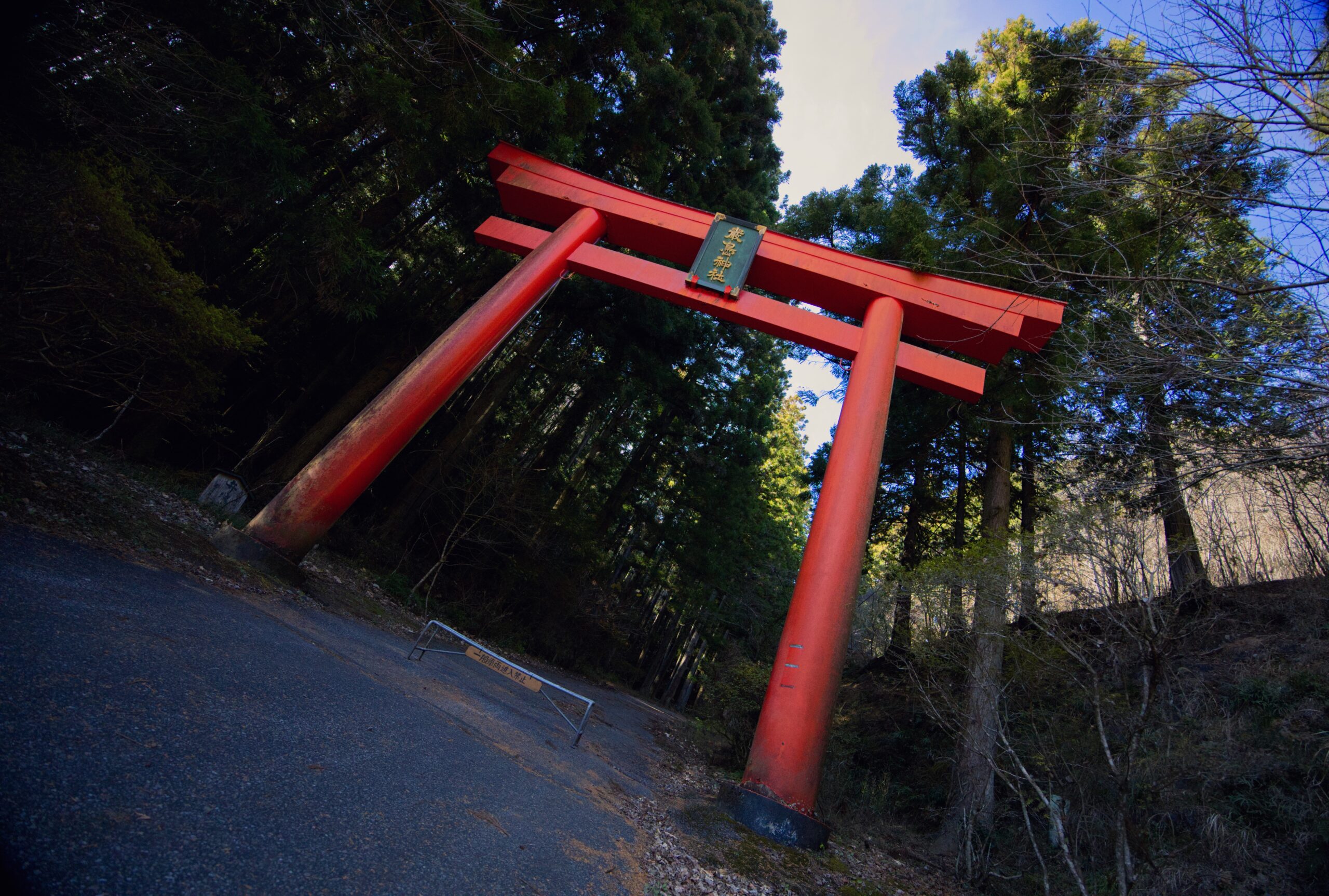 :Canon RF14-35 F4 L IS USM :f値 f/4
:焦点距離 14mm :SS 1/1,600 :ISO auto :WB auto