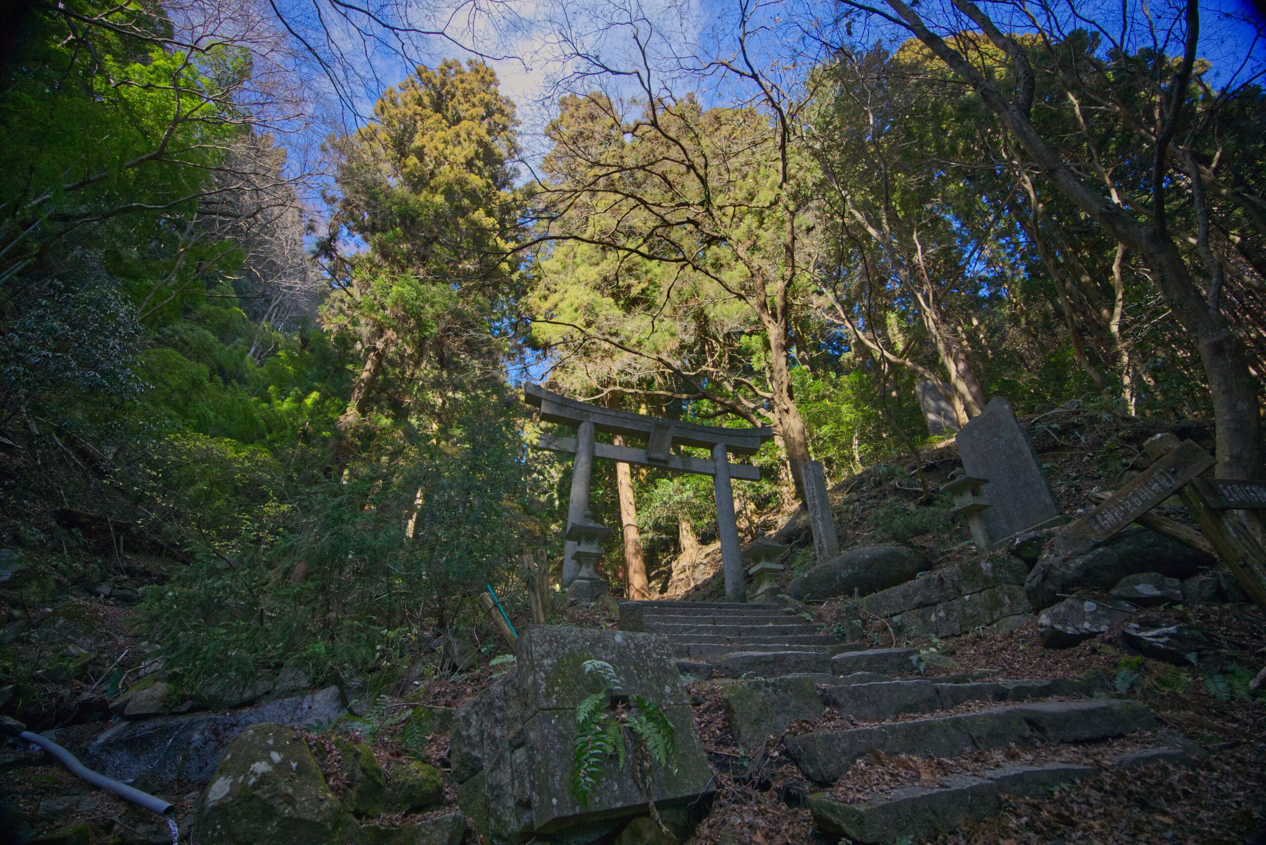 :Canon RF14-35 F4 L IS USM :f値 f/4.5
:焦点距離 14mm :SS 1/1,600 :ISO auto :WB auto