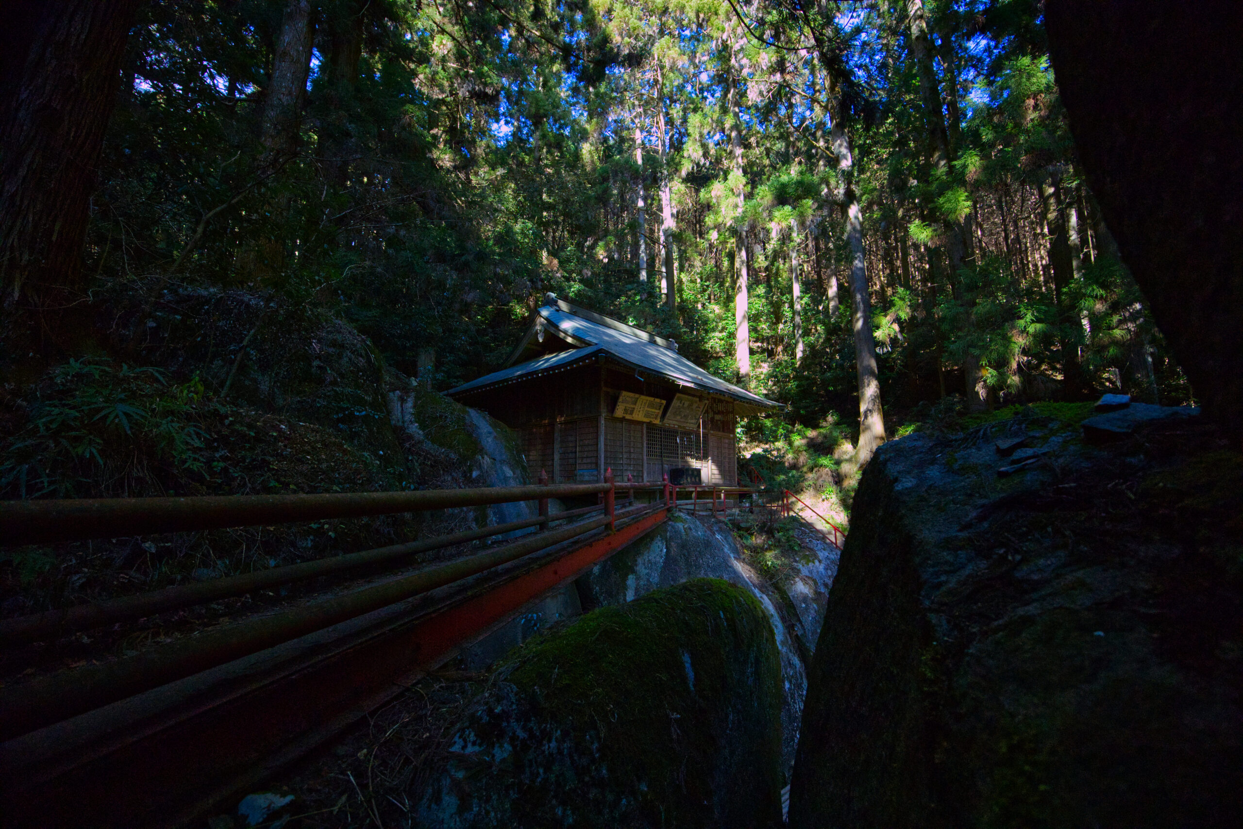 :Canon RF14-35 F4 L IS USM :f値 f/4.5
:焦点距離 14mm :SS 1/1,600 :ISO auto :WB auto