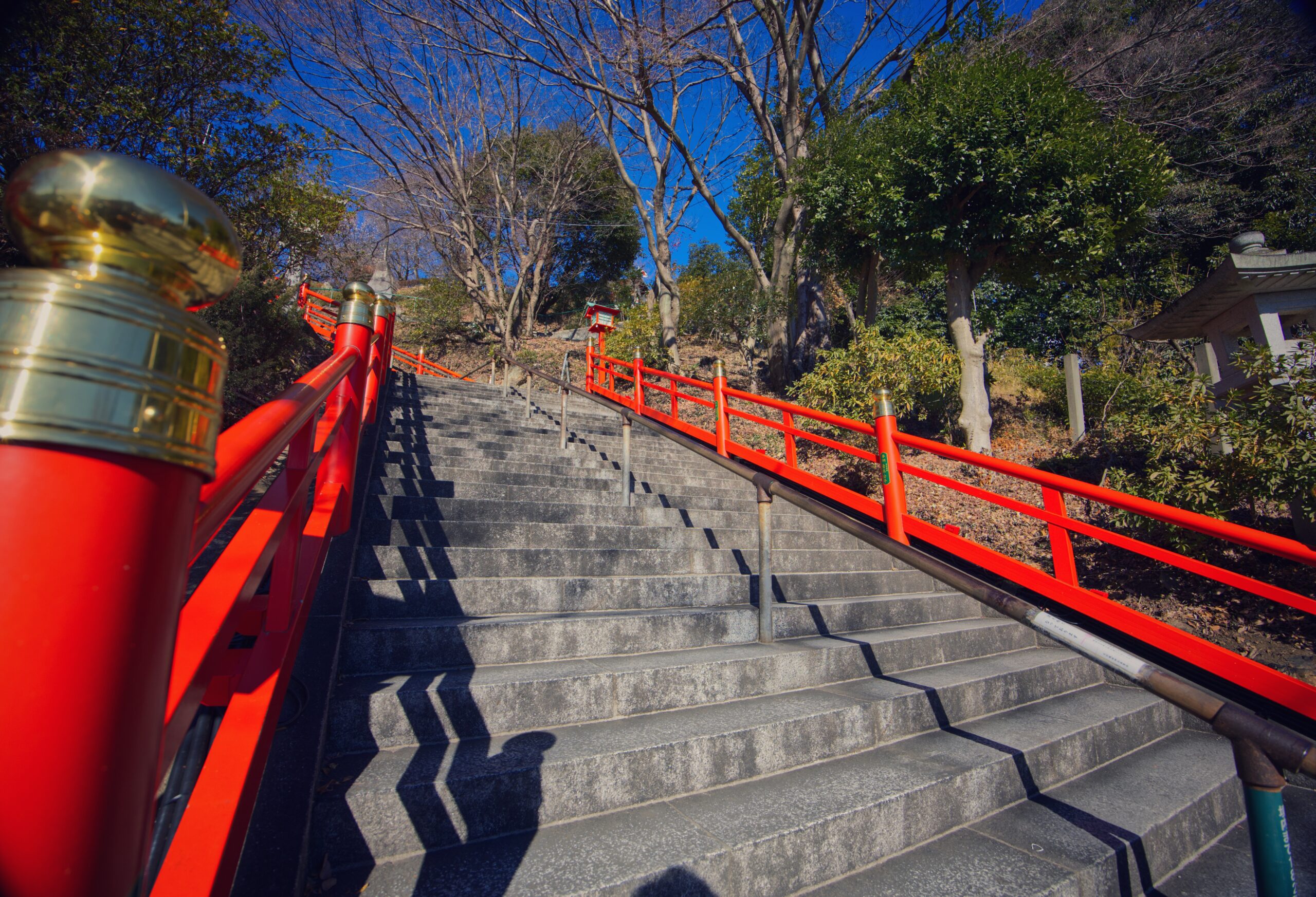 :Canon RF14-35 F4 L IS USM :f値 f/4.5
:焦点距離 14mm :SS 1/800 :ISO auto :WB auto